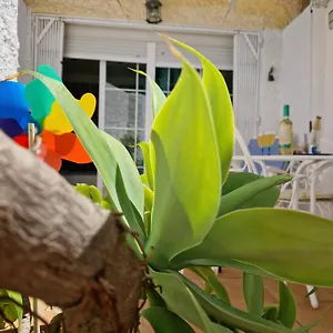 San Antonio - Beach, Pool And Terrace Torremolinos